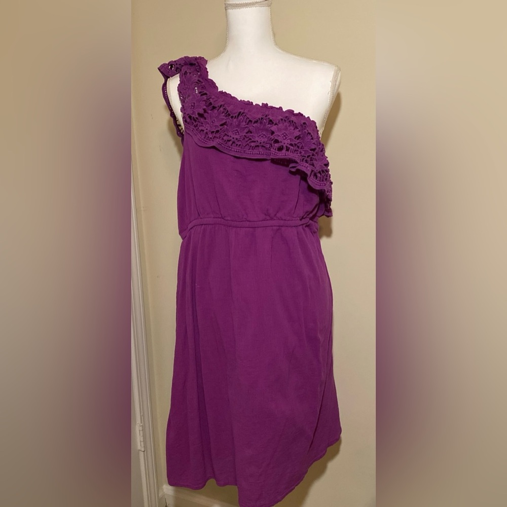 Lane Bryant Purple One-Shoulder Dress